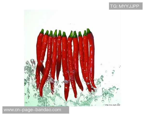 哈兰德在家享受红外线理疗与美食烹饪的双重乐趣